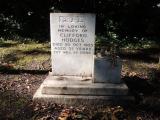 image number HAE 216